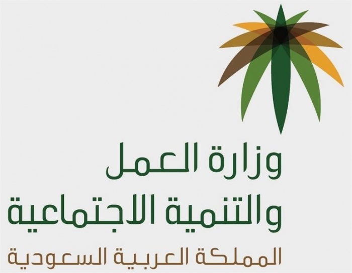 بوابة كوادر عمل: حلول لتوظيف العمالة